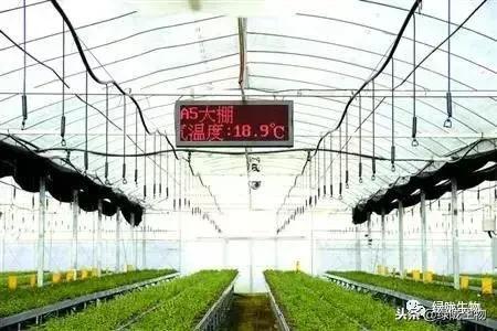 冬季使用微生物菌剂与物联网应用服务的关键注意事项